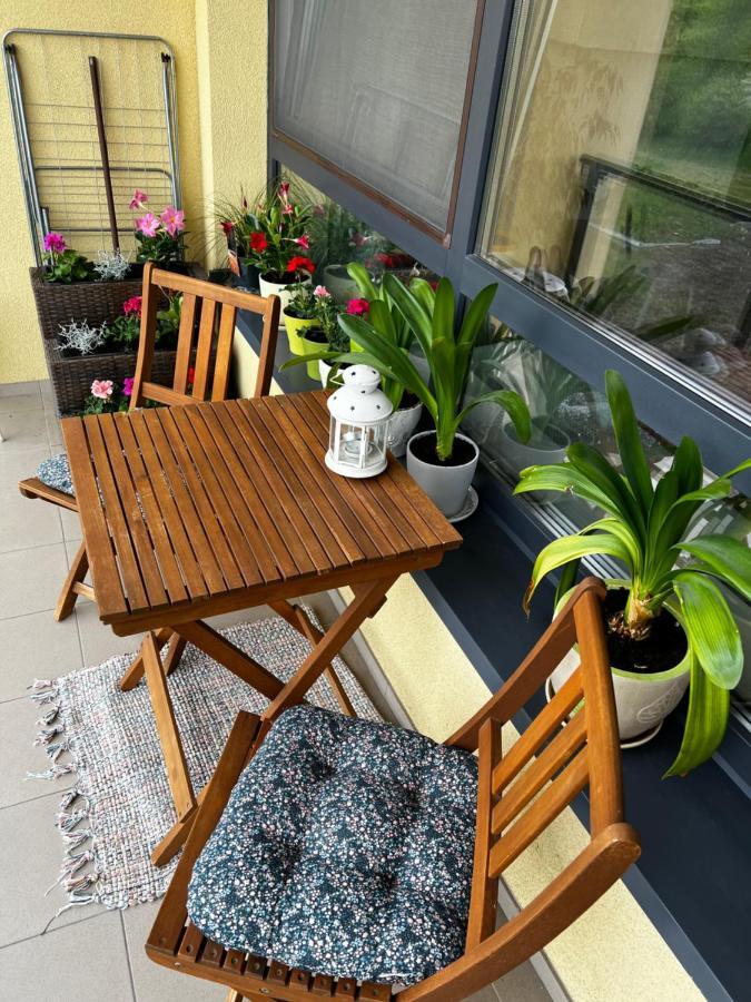 Geliu Apartamentai 팔랑가 외부 사진