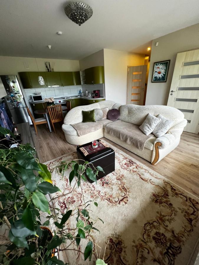Geliu Apartamentai 팔랑가 외부 사진